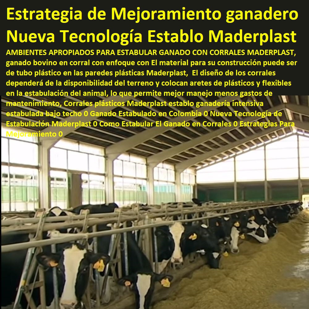 Corrales plásticos Maderplast establo ganadería intensiva estabulada bajo techo 0 Ganado Estabulado en Colombia 0 Nueva Tecnología de Estabulación Maderplast 0 Como Estabular El Ganado en Corrales 0 Estrategias Para Mejoramiento 0 Corrales plásticos Ganaderías Tecnificadas, Explotación Ganadera Automatizada, Sistemas de Pastoreo, Estabulación de Ganado, Pastoreo Intensivo, Establos, Corrales, Saladeros, Comederos, Cerramientos, Postes,  Maderplast establo ganadería intensiva estabulada bajo techo 0 Ganado Estabulado en Colombia 0 Nueva Tecnología de Estabulación Maderplast 0 Como Estabular El Ganado en Corrales 0 Estrategias Para Mejoramiento 0